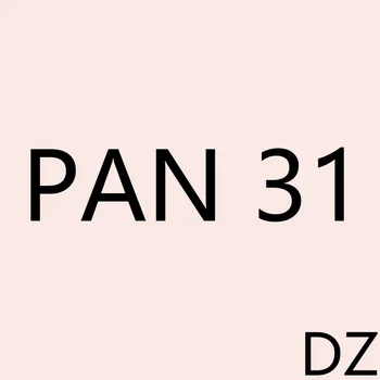 PAN DZ 31