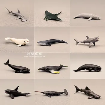 Deniz Hayvan Modeli Mavi Gri Balina Sperm Balina Köpekbalığı Yunus Manta ışınları Okyanuslar dünya DIY Epoksi Mini Heykelcik Aksiyon figürleri Oyuncaklar