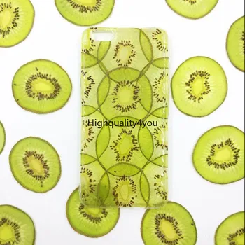 10 adet Kurutulmuş Preslenmiş Exopy Kivi Meyve Dilimleri Bitki Herbaryum Takı Fotoğraf Çerçevesi telefon kılıfı Zanaat DIY Yapma Aksesuarları